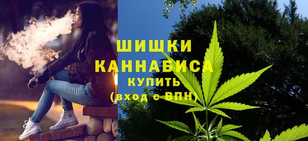 мет Лагань